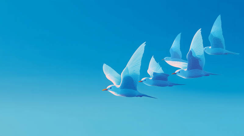 蓝天白鸟翱翔天空-图片