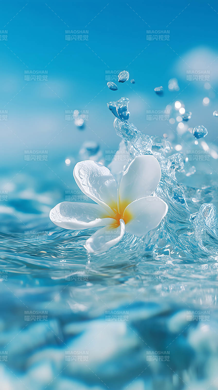 花朵与水滴的纯净-图片