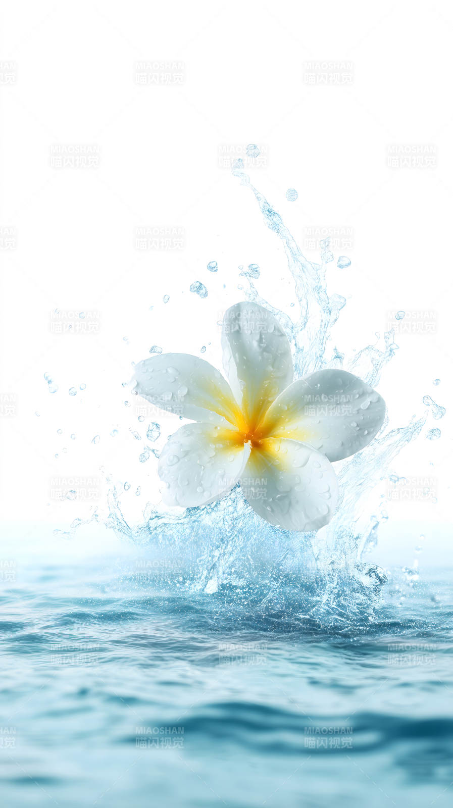 花朵绽放水花四溅-图片