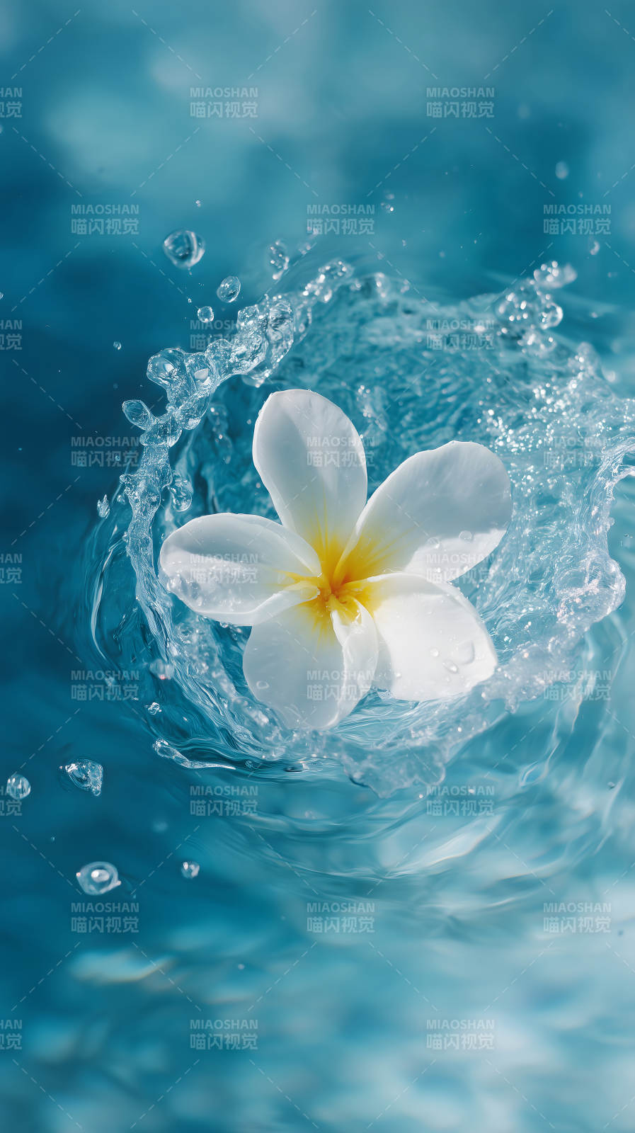 花朵入水瞬间景象-图片