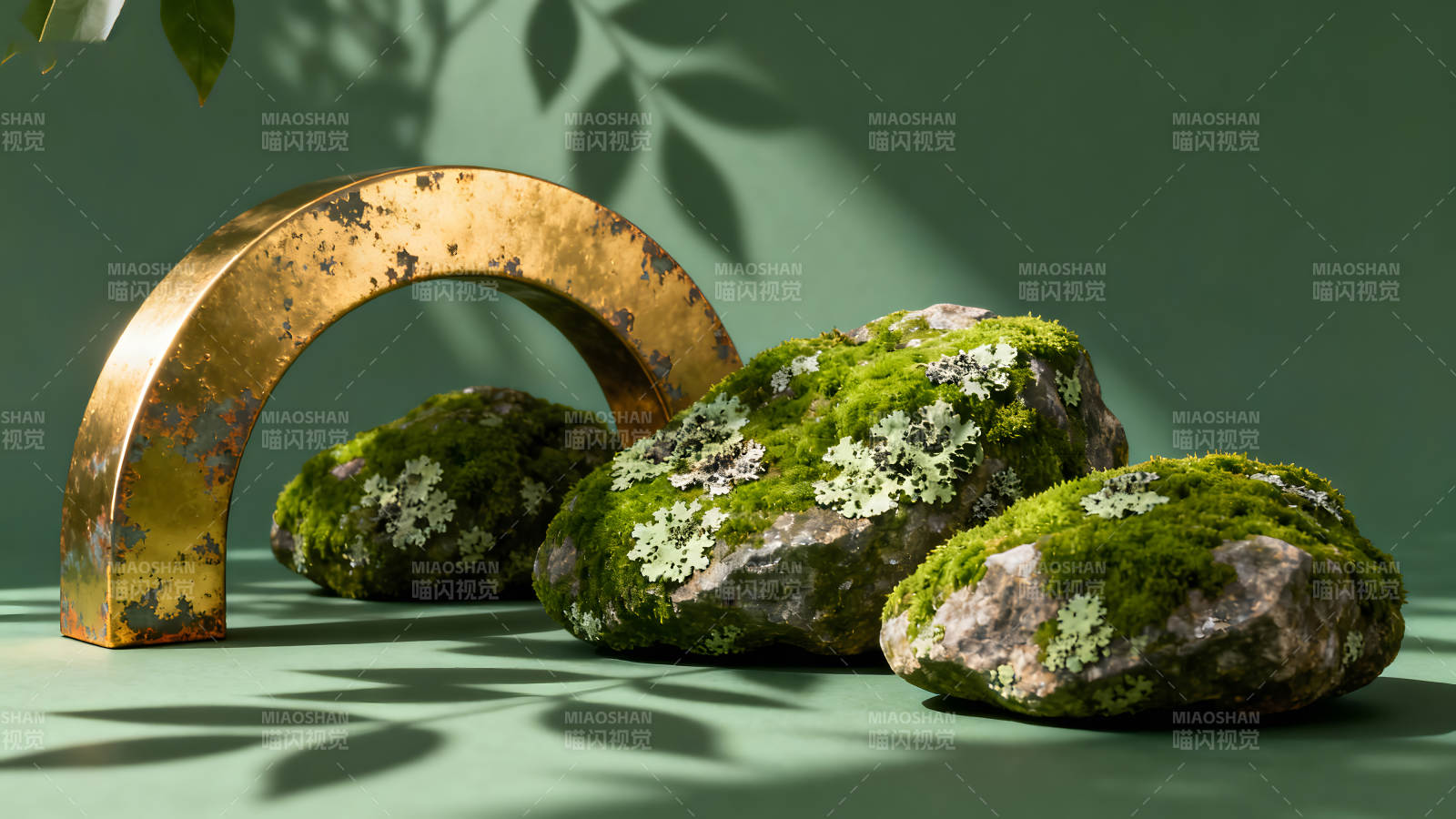 绿植与金属拱门组合摆拍-图片