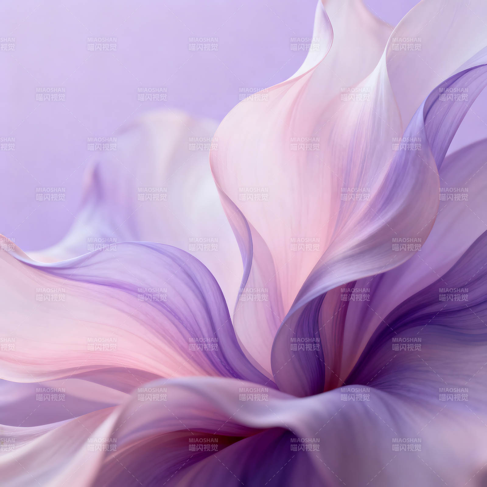 花朵的柔美特写浅色渐变-图片