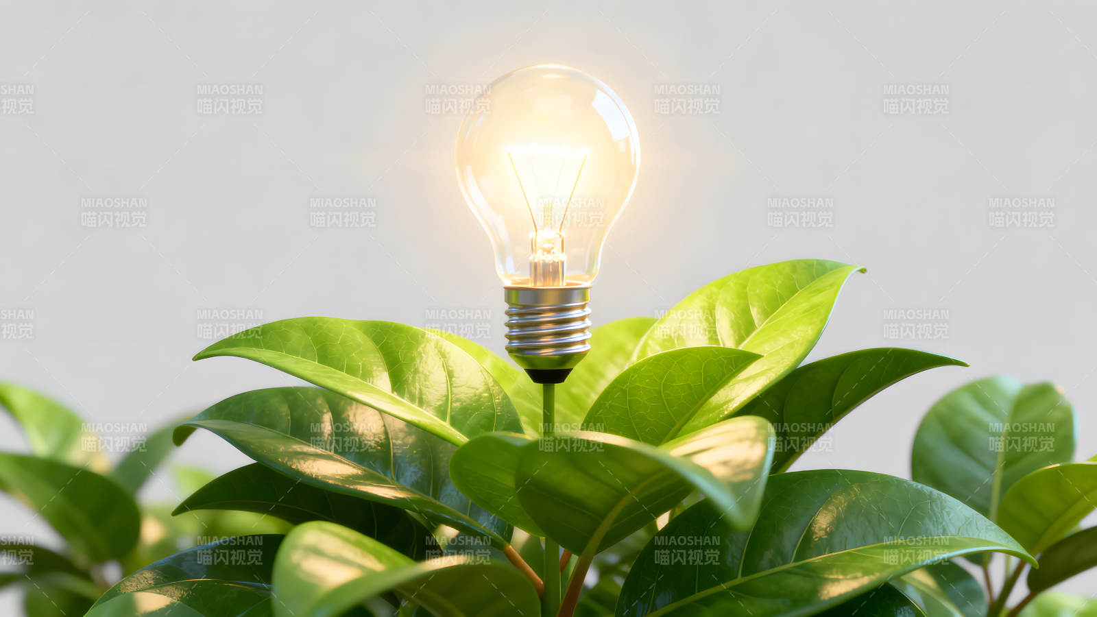 发光灯泡与绿植-图片