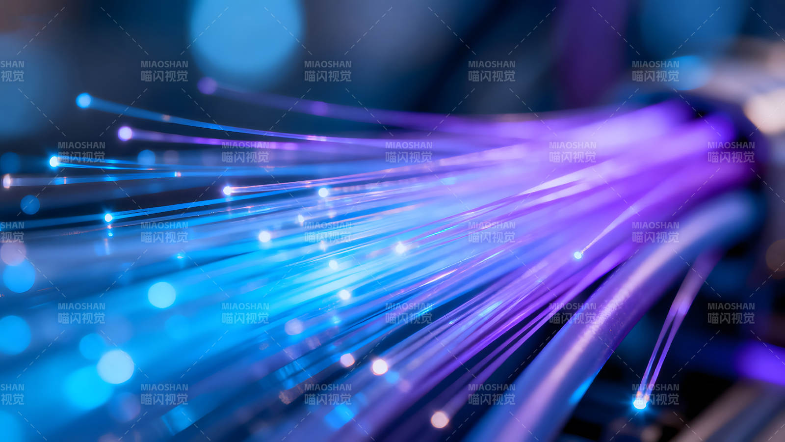 光纤传输数据紫色蓝色光线交织-图片