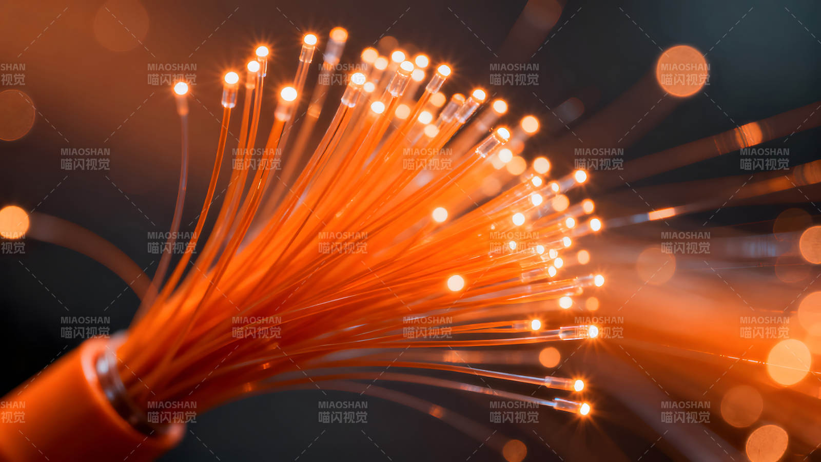 光纤传输网络数据高速通道-图片