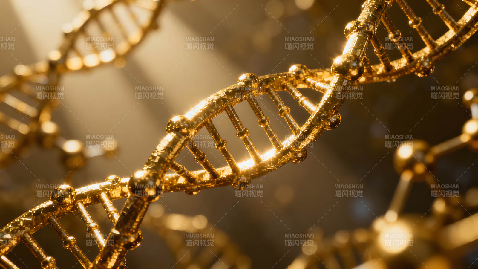 金色DNA螺旋结构艺术渲染-图片