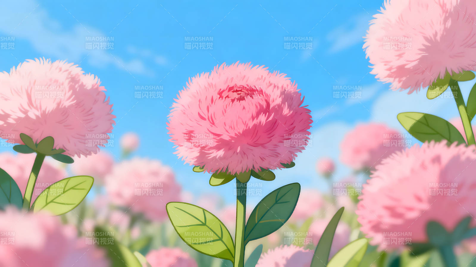 粉色毛绒花朵在蓝天下盛开图片