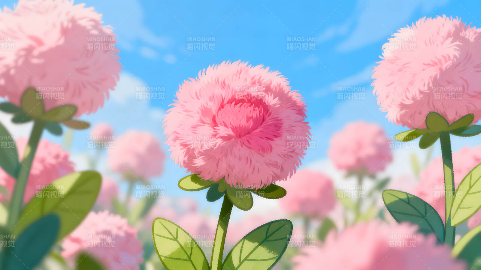 粉色毛茸茸花朵在蓝天下盛开图片