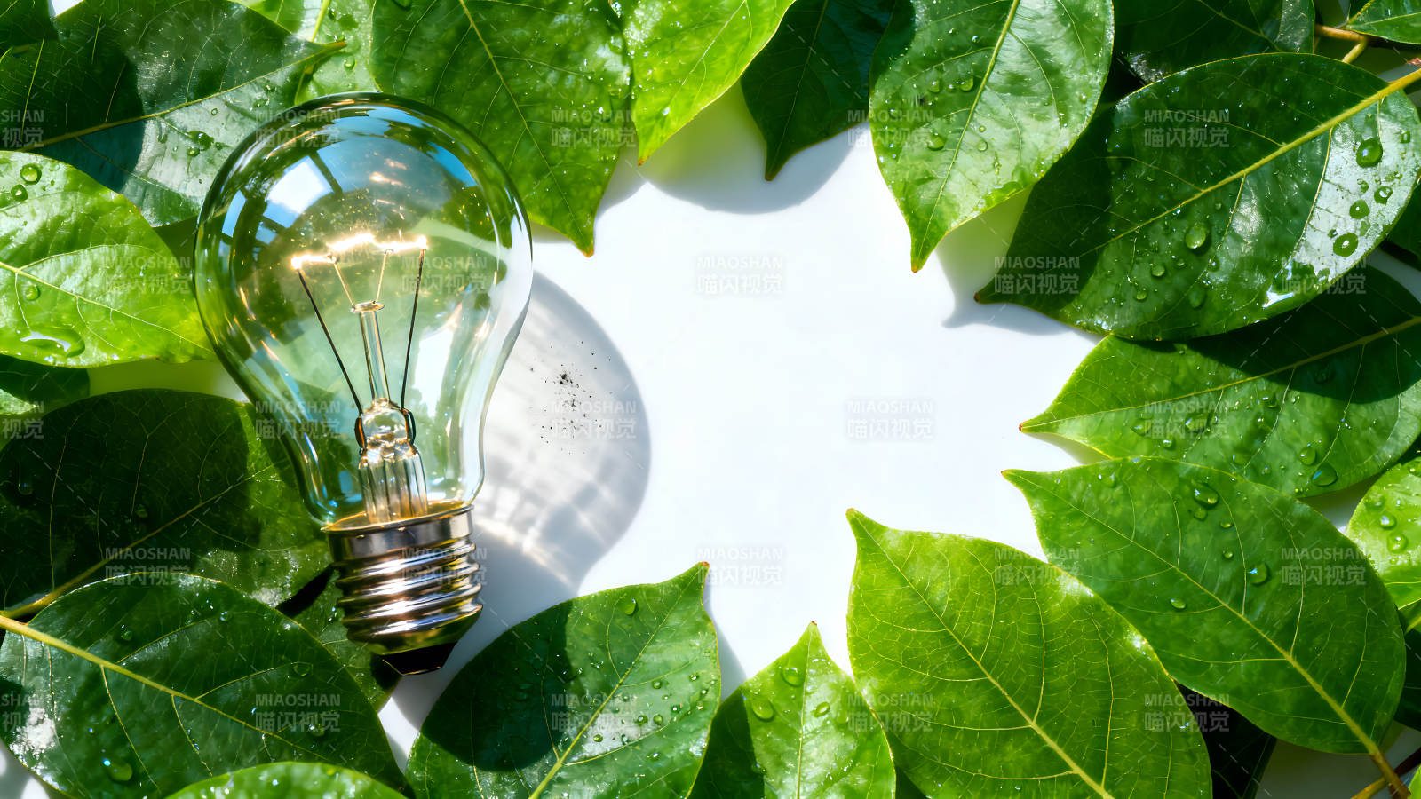 环保节能的灯泡和绿色叶子-图片