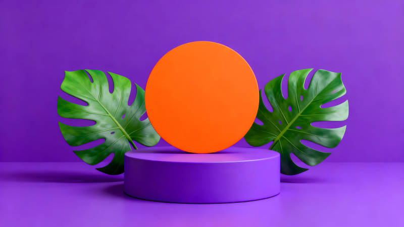 紫色背景下的橙色圆盘和绿叶-图片