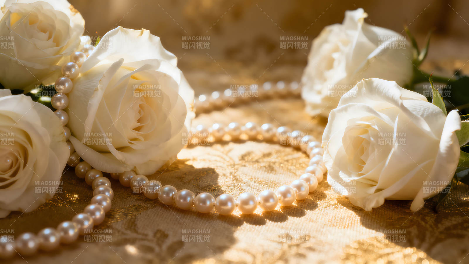 珍珠項鏈配白玫瑰美麗浪漫的場景-圖片