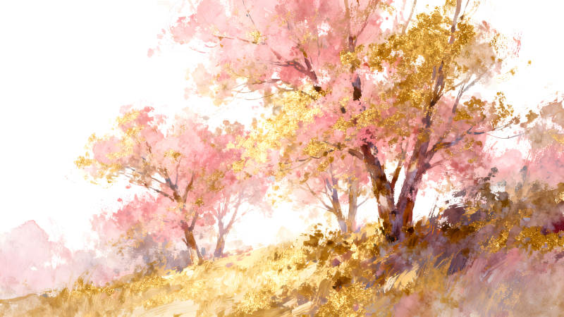 粉色樱花与金色光芒图片