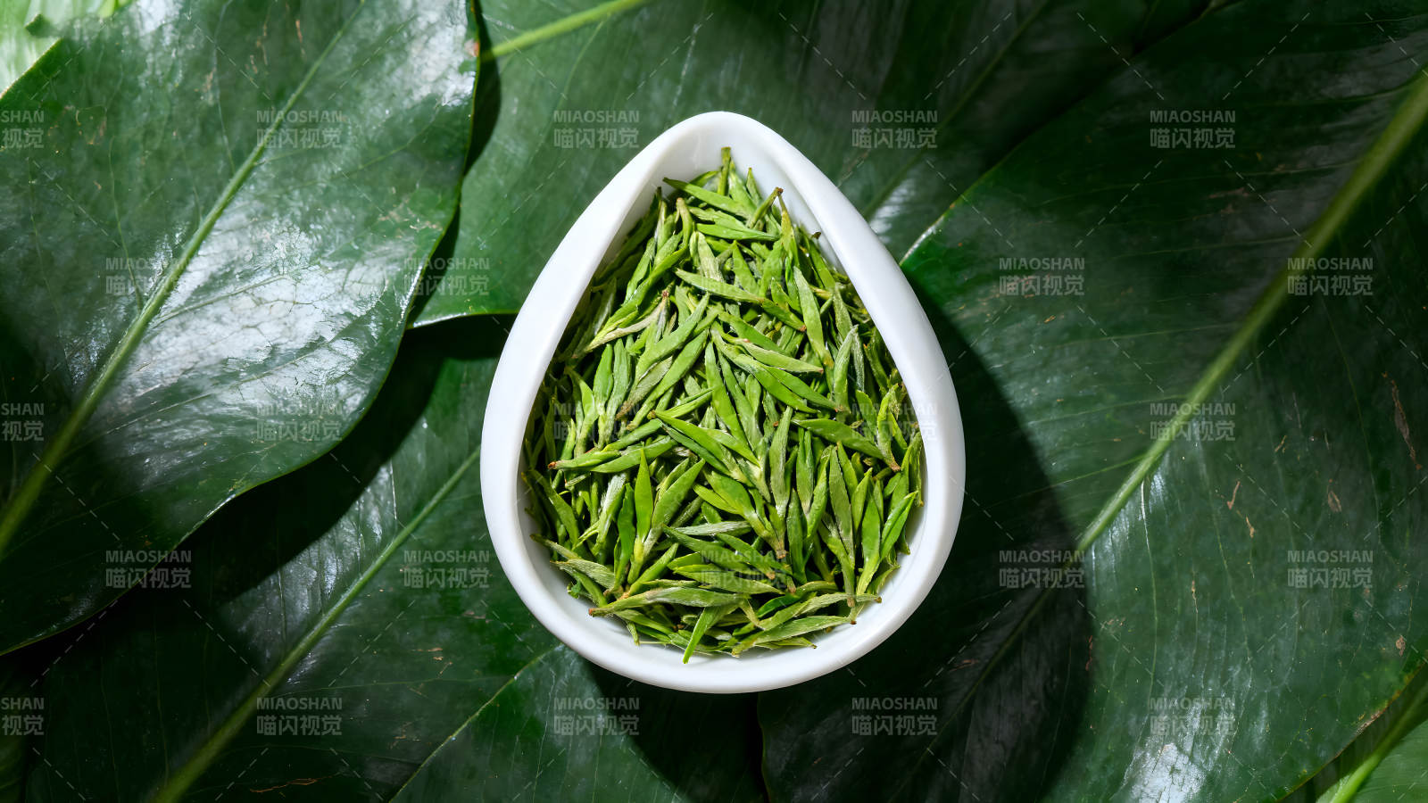 茶叶和绿叶的特写图片