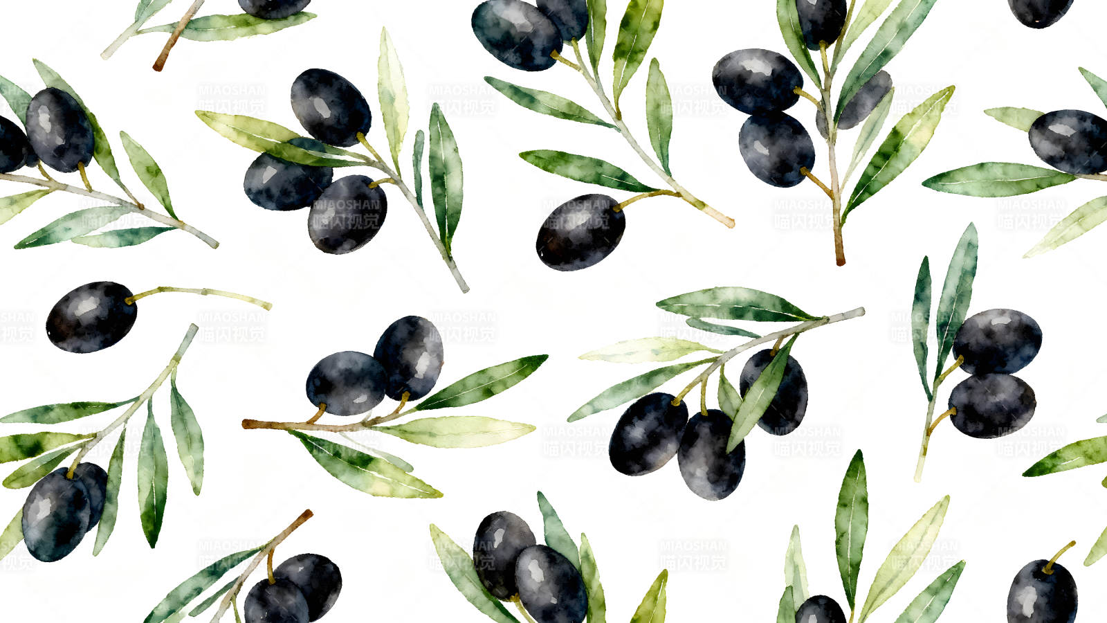 水彩橄榄枝图案-图片