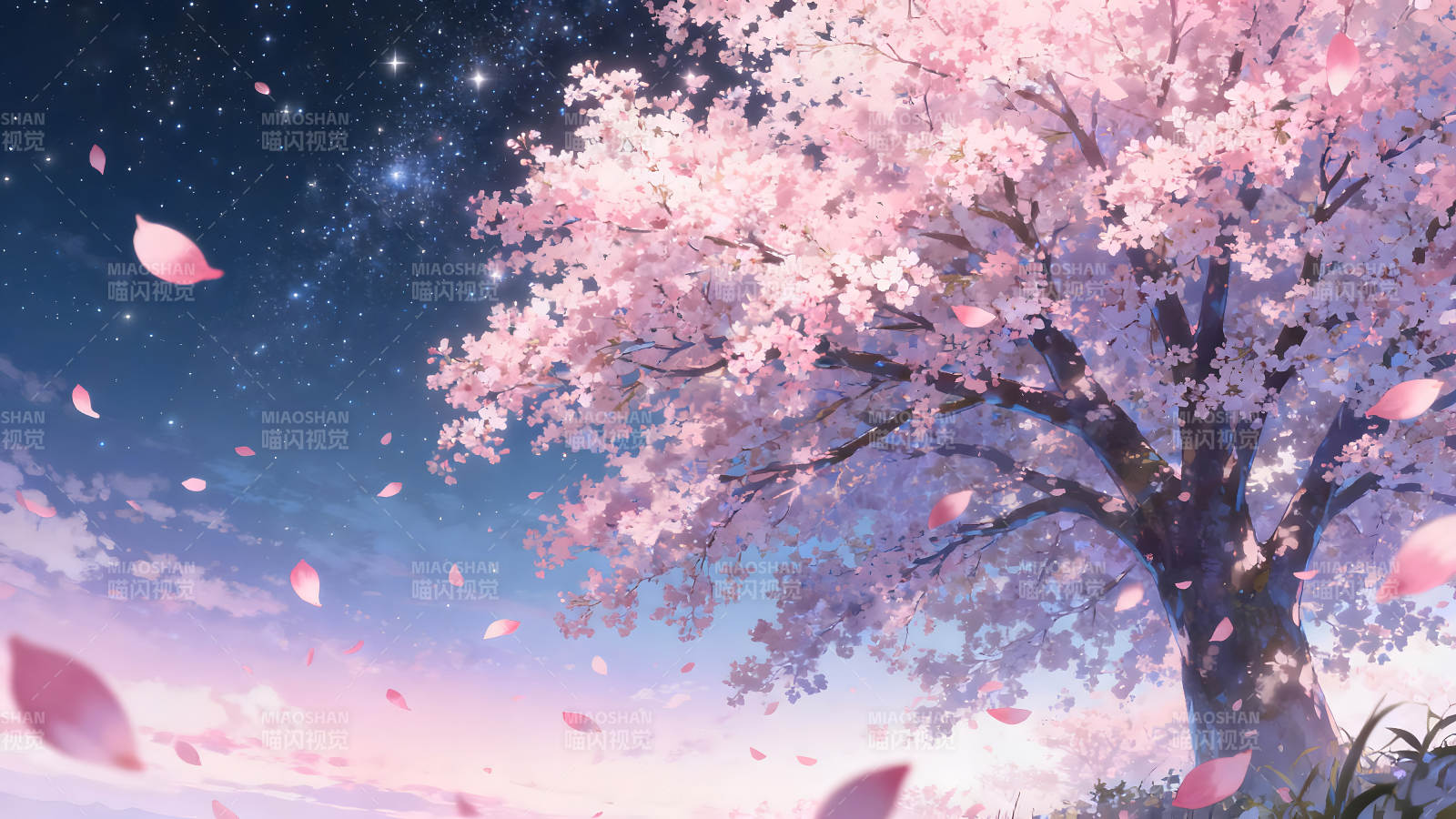 樱花树下的星空唯美景象-图片