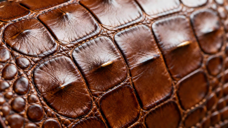 棕色皮革特写质感十足的鳄鱼皮纹理-图片