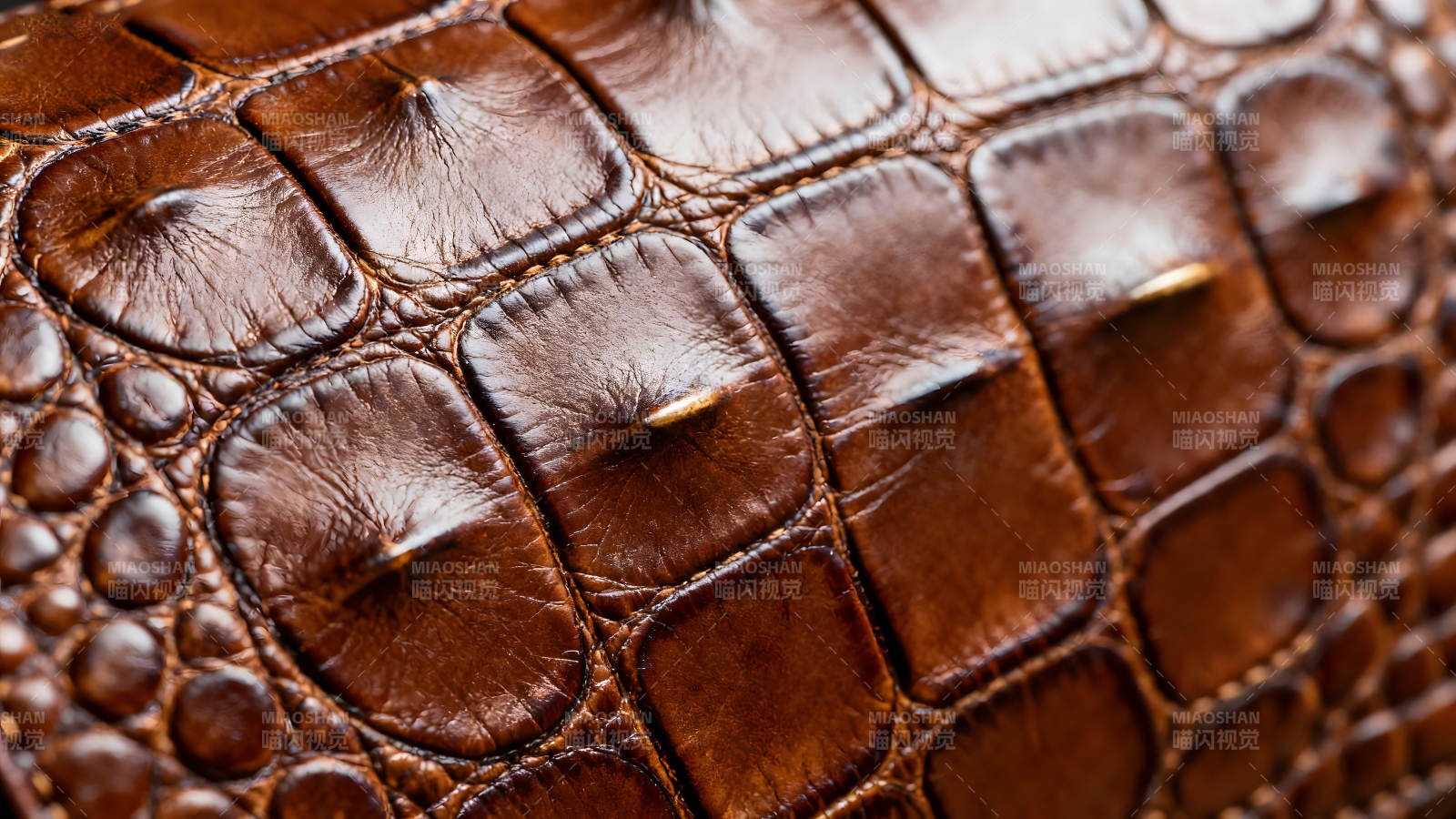 棕色皮革特写质感十足的鳄鱼皮纹理-图片