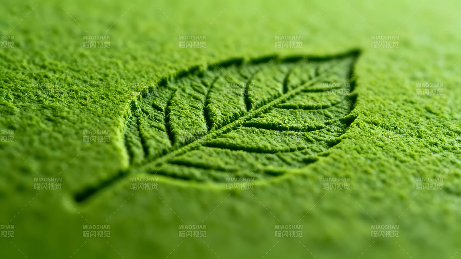 抹茶叶子特写静谧质感绿意盎然-图片