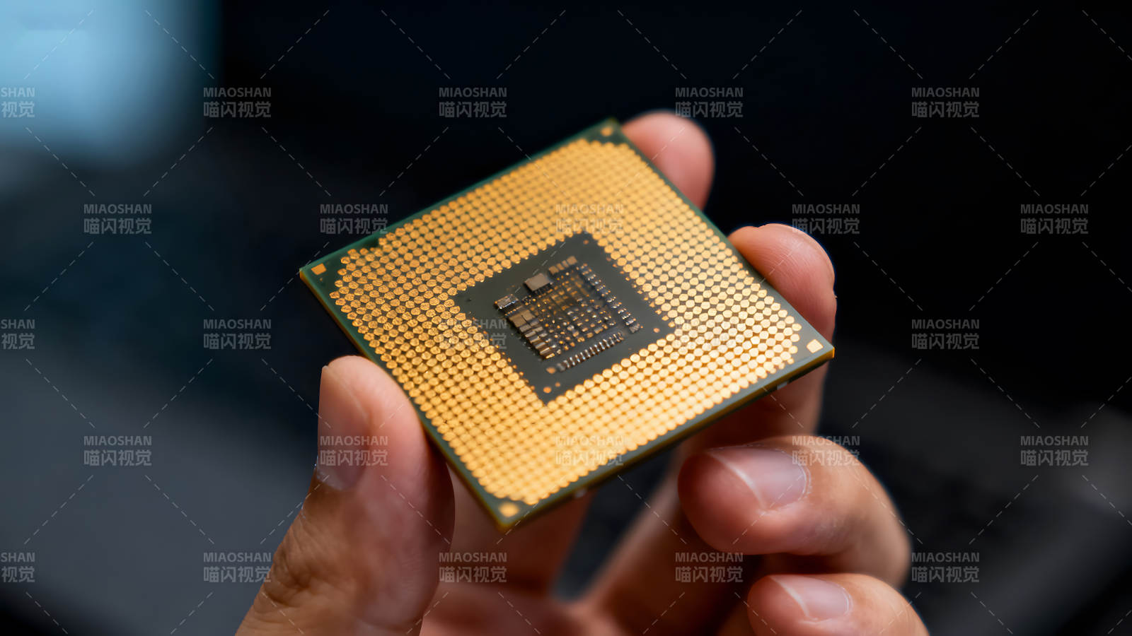 手持CPU芯片特寫圖片