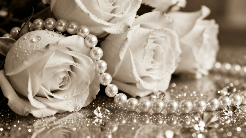 珍珠與白玫瑰的精致組合-圖片