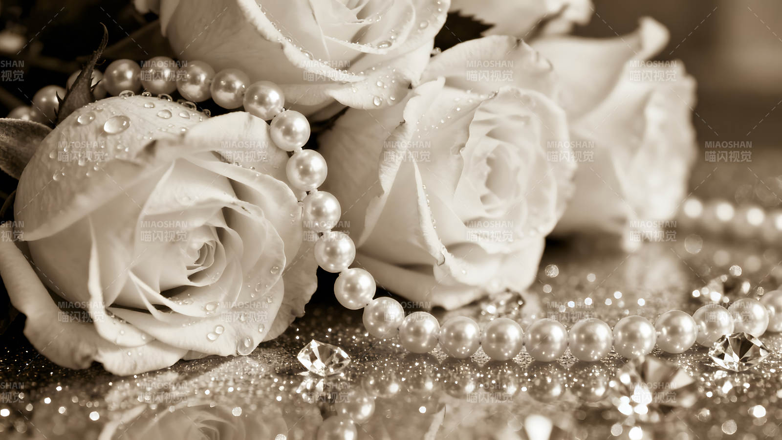 珍珠與白玫瑰的精致組合-圖片