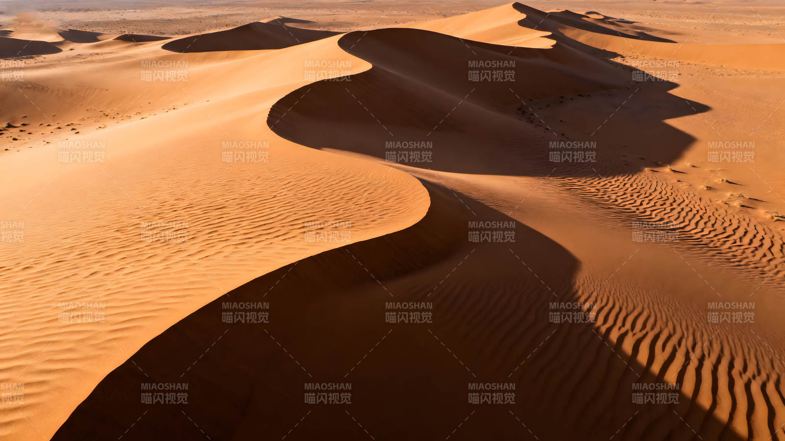 沙漠沙丘的光影藝術-圖片