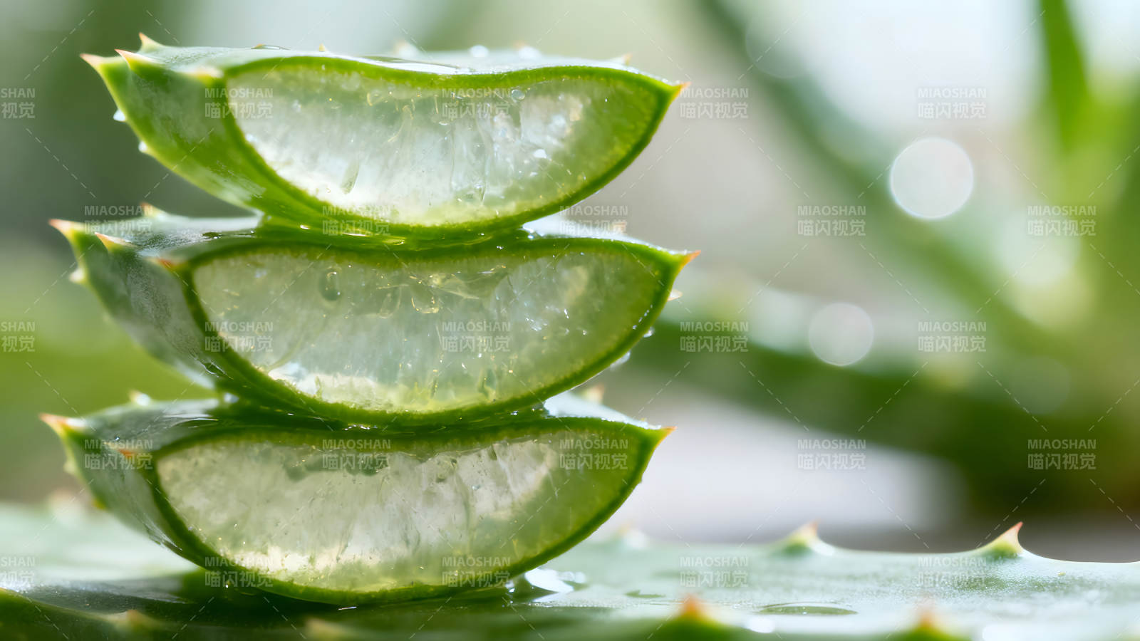 芦荟切片堆叠展示清新透明图片