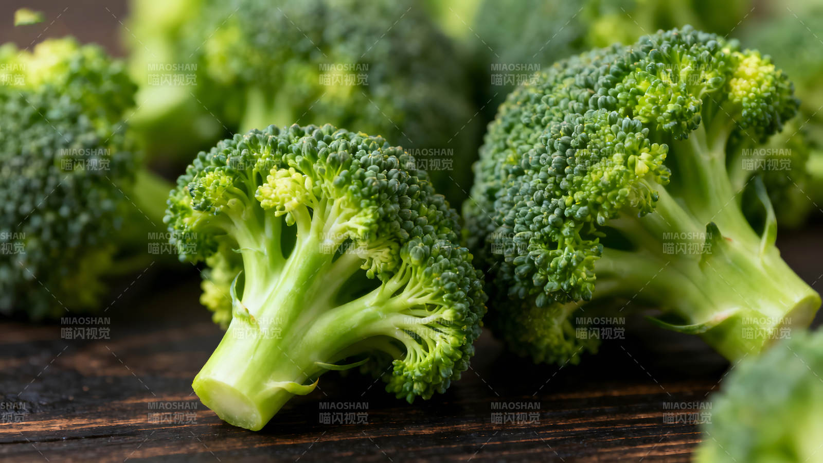 新鲜的西兰花特写图片