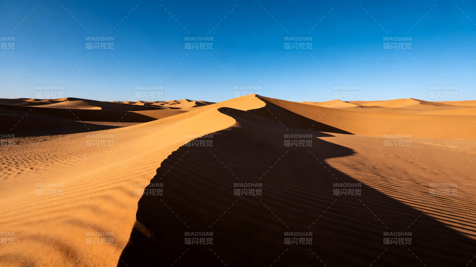 沙漠沙丘在陽光下呈現(xiàn)壯麗景象-圖片