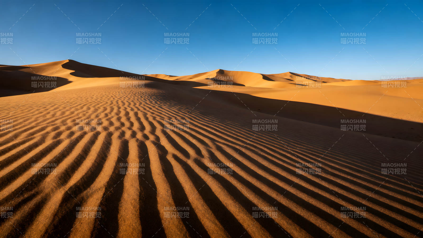 沙漠風(fēng)光沙丘紋理光影交織-圖片