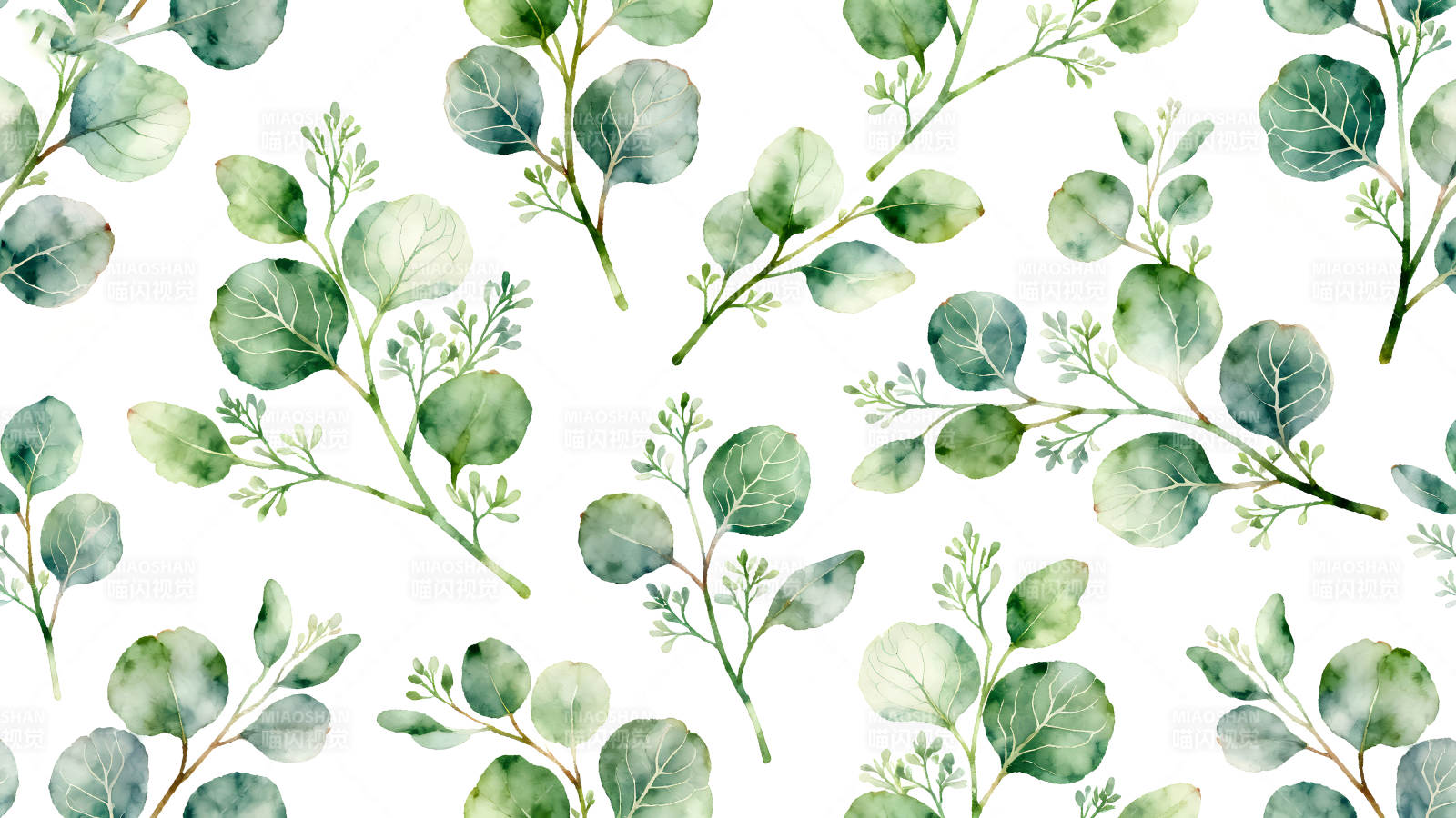 水彩桉樹葉圖案清新美麗-圖片