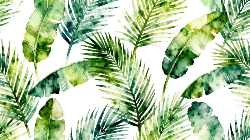 水彩热带植物叶子背景-图片