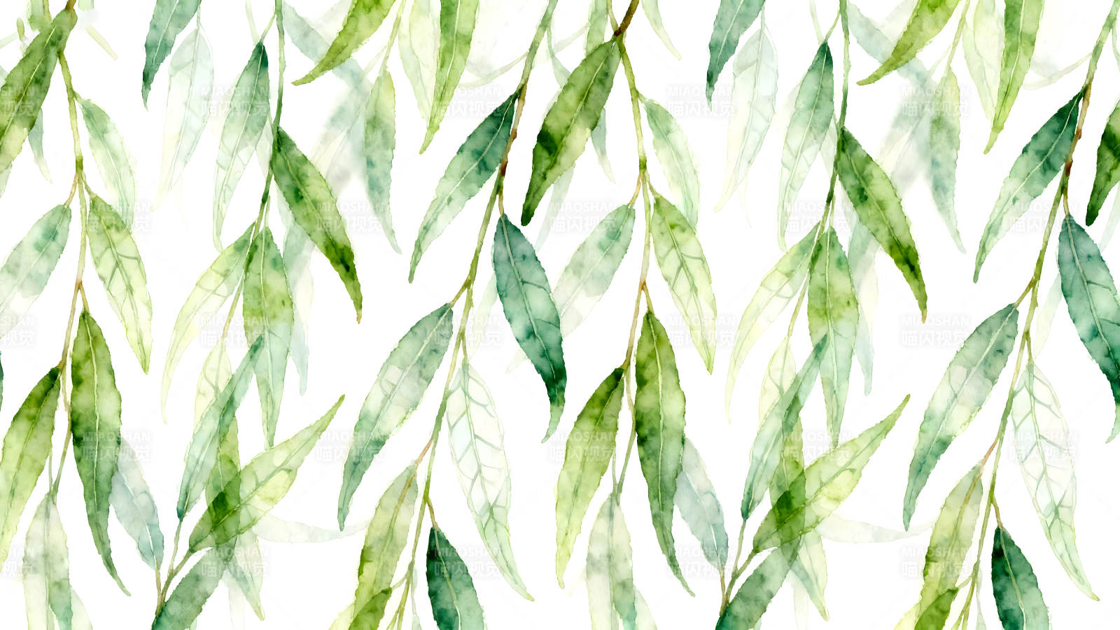 水彩风格的柳叶图案图片