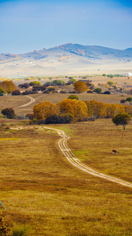 烏蘭布統秋野小徑-攝影圖