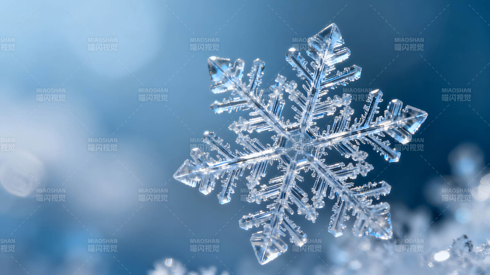 晶莹剔透的雪花特写美丽的冬日景象图片