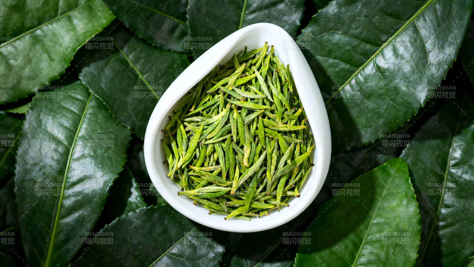 茶叶与叶子特写图片