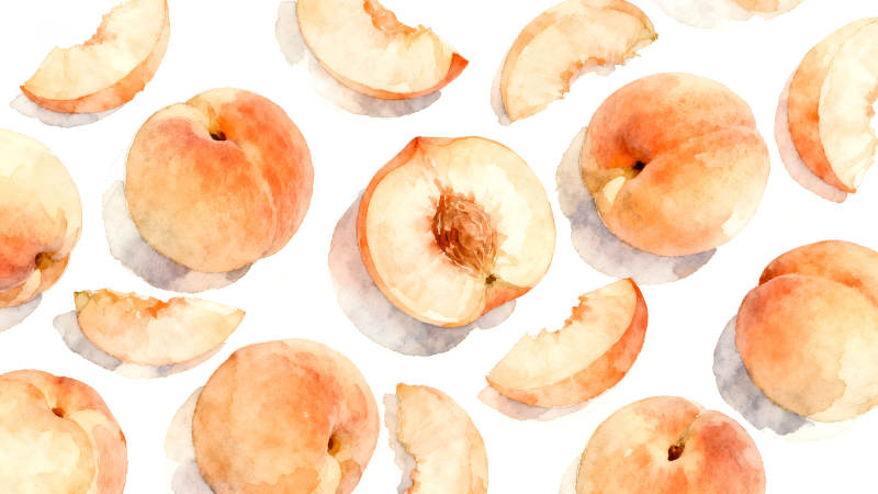 水彩蜜桃图-图片