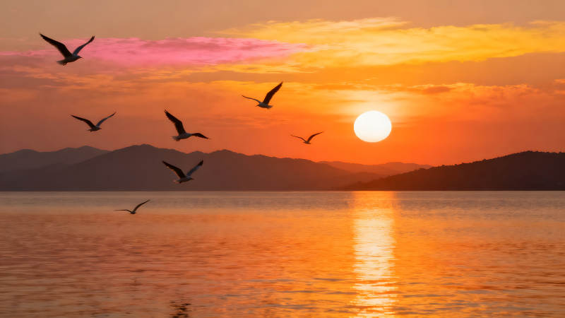 日落時分海鳥飛翔在湖面上-圖片