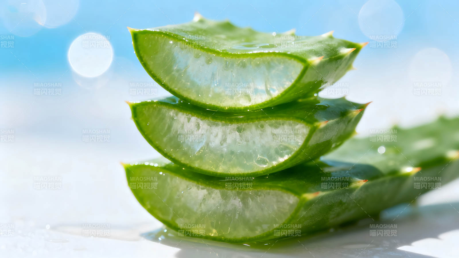 新鲜的芦荟切片特写-图片