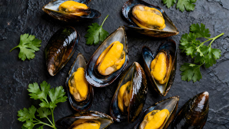 鲜美的熟食贻贝特写-图片