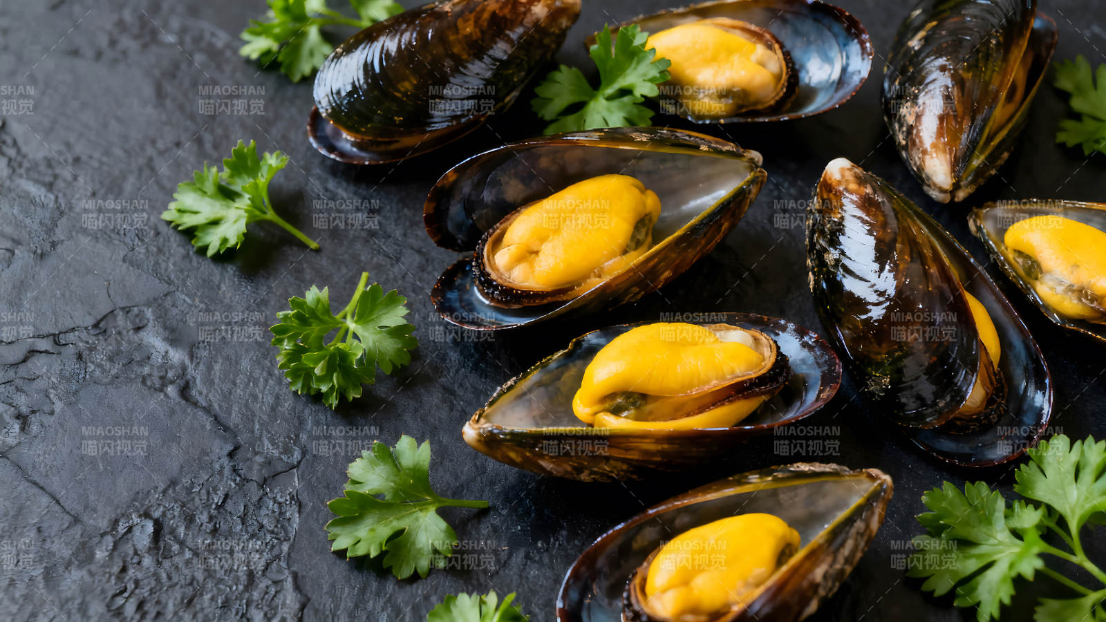 美味的煮熟贻贝配香菜-图片