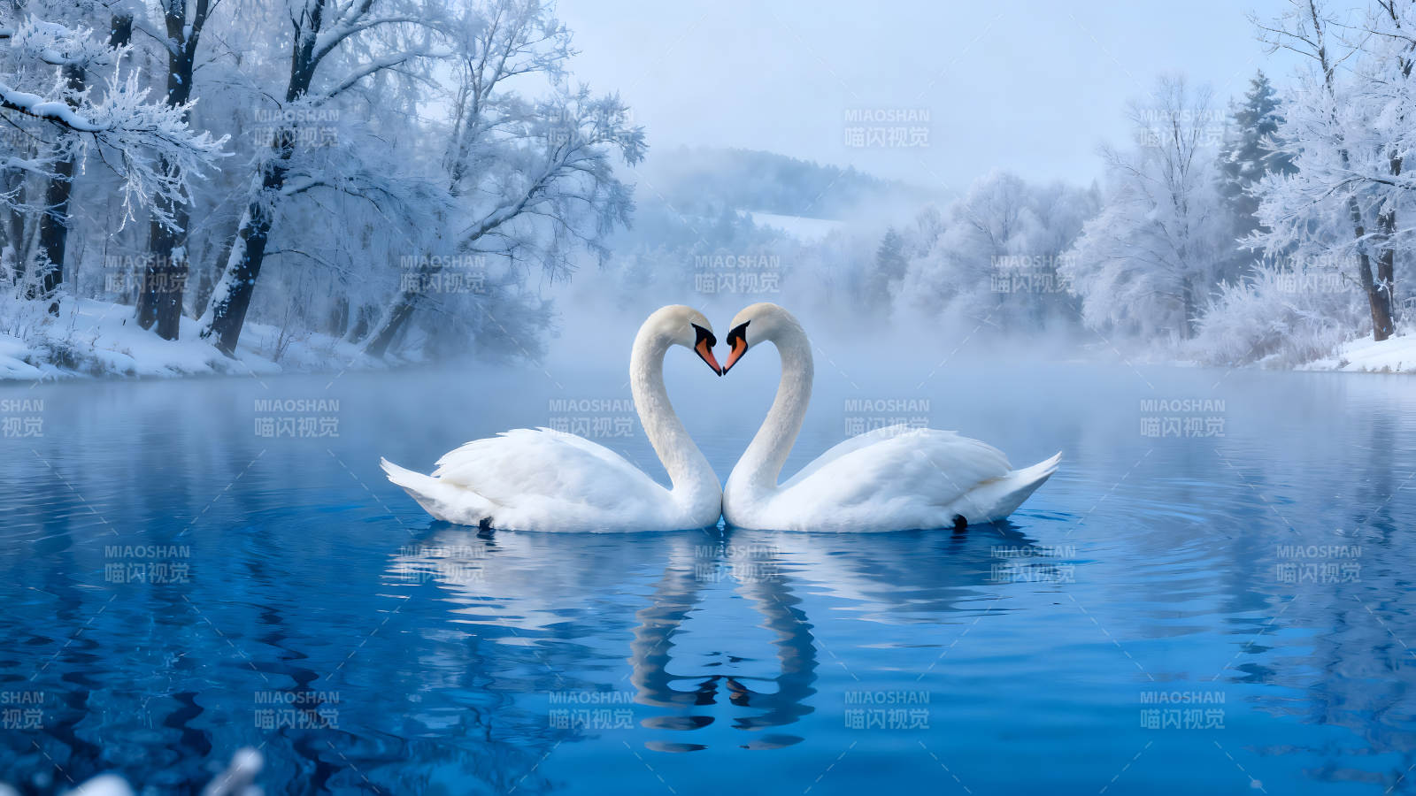 两只天鹅心形姿势在冰雪湖面上-图片