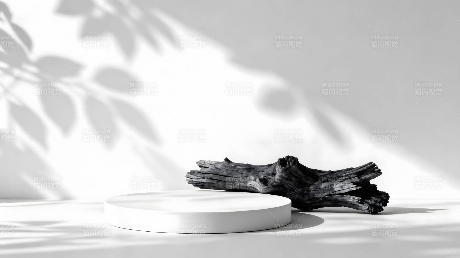 简约白色场景呈现自然元素-图片