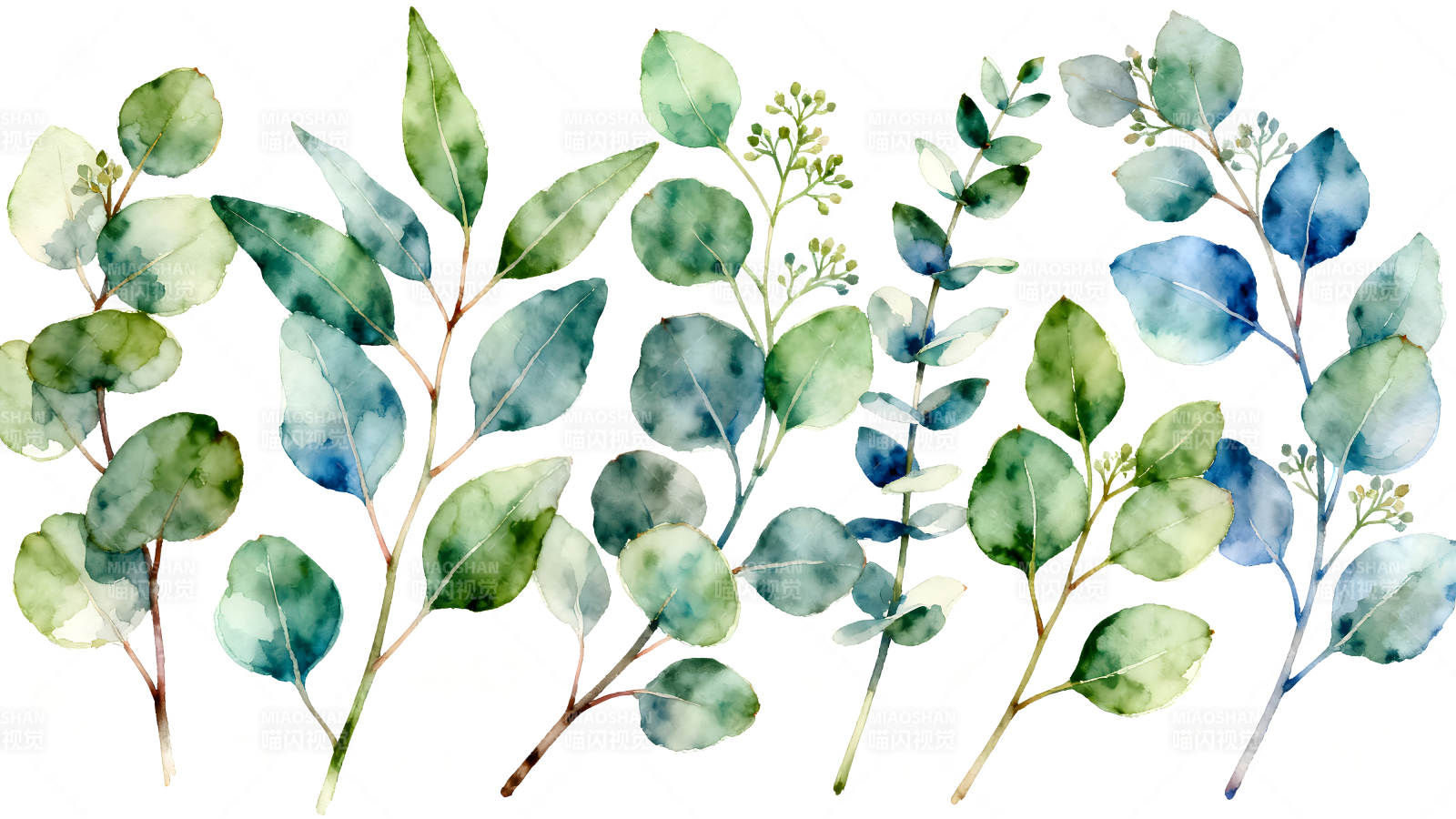 水彩桉树叶子清新装饰艺术图片