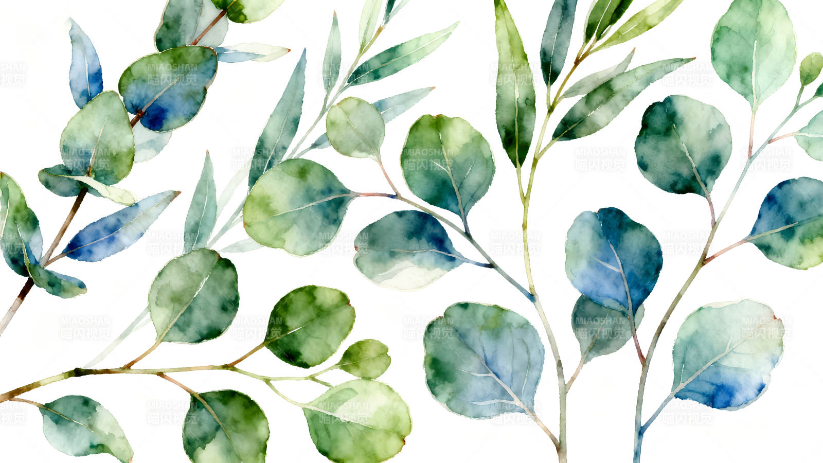 水彩桉树叶子清新自然的植物图案图片