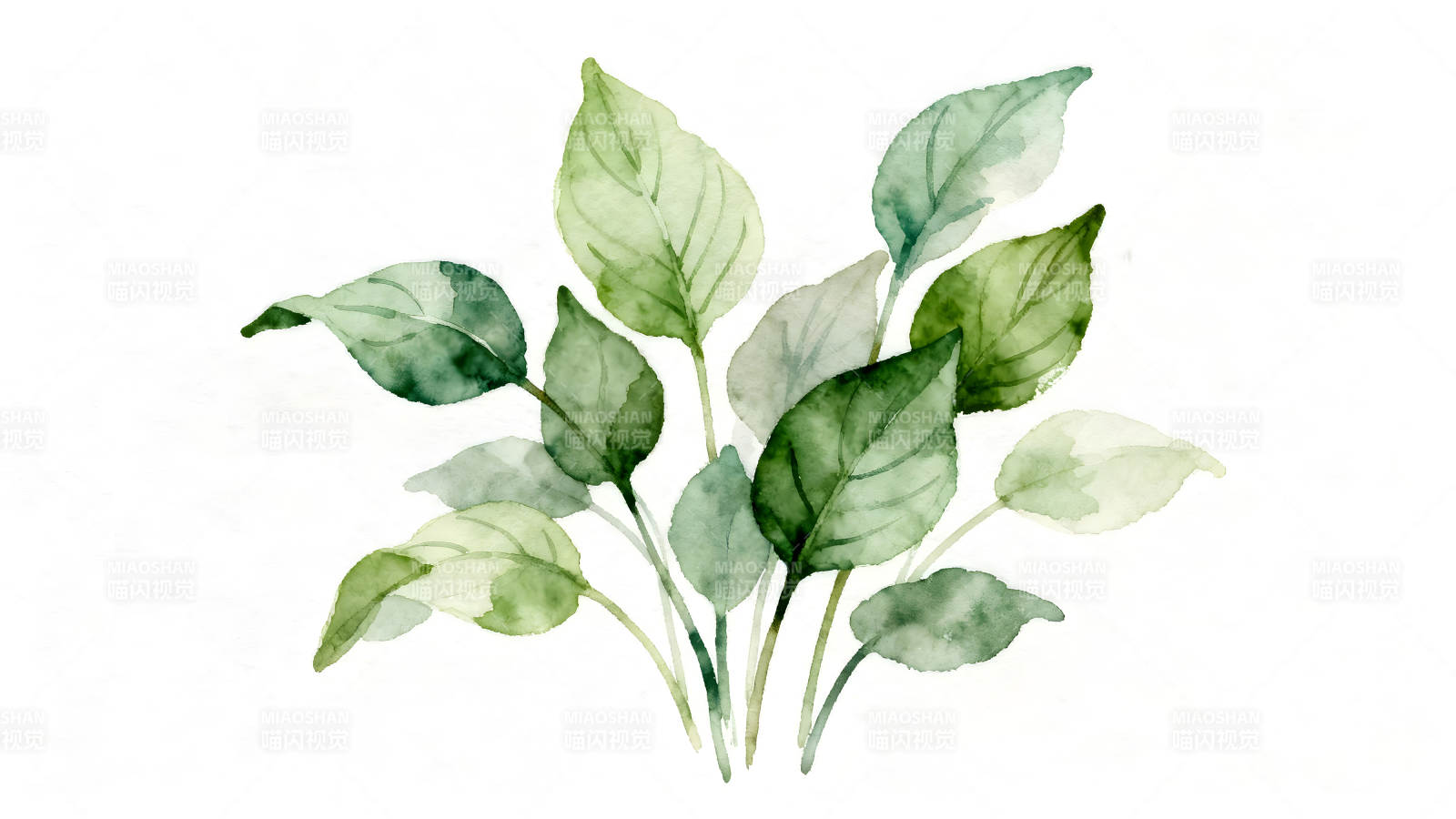 水彩植物叶子绘画艺术图片