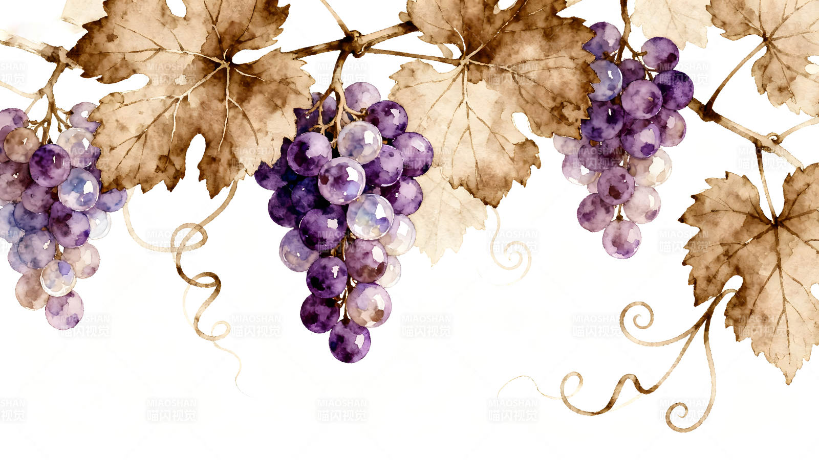 葡萄藤水彩画唯美意境-图片