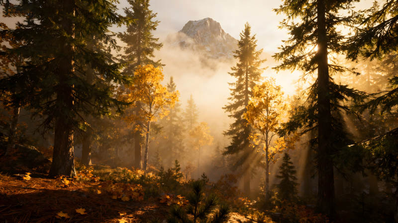 秋日森林陽光穿透云霧籠罩著山峰-圖片