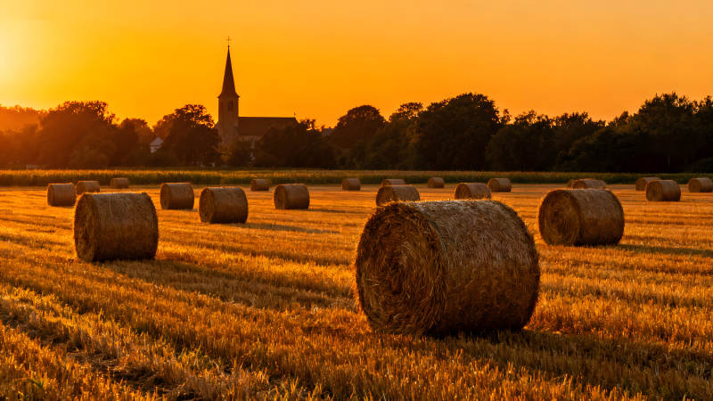 落日余暉下的田野與草垛-圖片