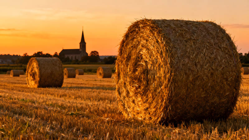 金色田野的夕陽和干草卷-圖片